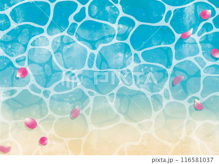 海の波打ち際とピンクの花びら水彩 116581037