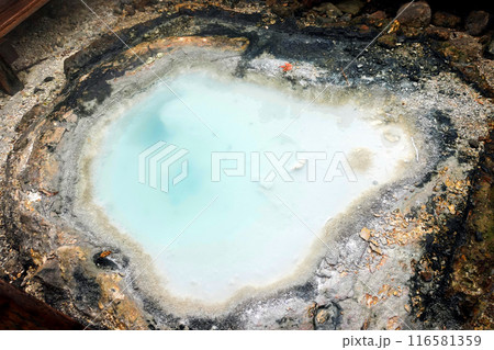 鉄線池2 鉄線池2 116581359