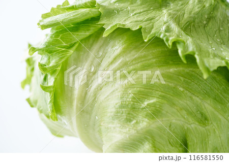 新鮮なレタス 116581550