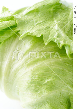 新鮮なレタス　クローズアップ 116581578