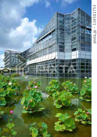 咲くやこの花館 116581753