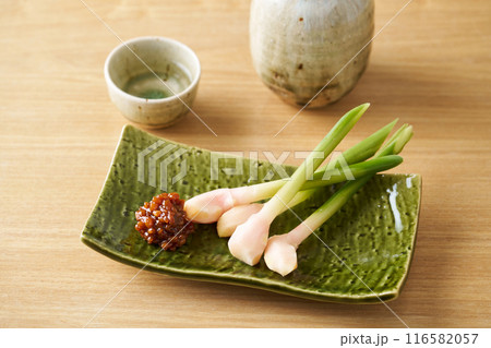 もろみ味噌を添えた葉生姜 もろみ味噌を添えた葉生姜 116582057
