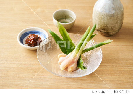 もろみ味噌と葉生姜 もろみ味噌と葉生姜 116582115