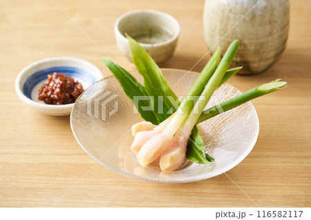 もろみ味噌と葉生姜 116582117