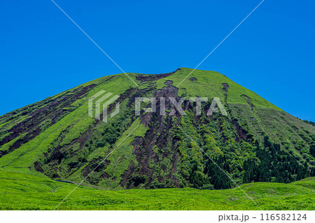 阿蘇くじゅう国立公園 116582124