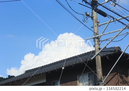 夏の青空と入道雲 夏の青空と入道雲 116582214