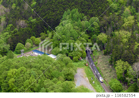 【キハ261系】石勝線 新得~トマム【深緑】 【キハ261系】石勝線 新得~トマム【深緑】 116582554