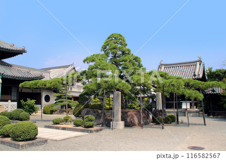 浅野家と義士のお寺 播州赤穂台雲山 花岳寺 浅野家と義士のお寺 播州赤穂台雲山 花岳寺 116582567