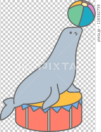 Sea lion performing in a circus 116582759
