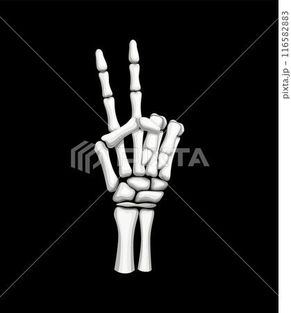 Skeleton hand forming the iconic V for victory or number two gesture. Isolated vector skeletal arm with outstretched bony fingers, symbolizing triumph and success with eerie, Halloween charm 116582883