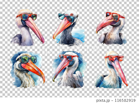 Cute watercolor painting style illustration of Pelican, isolated on white background 116582919