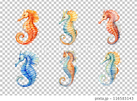 Sea Horse, Summer Illustration. Watercolor Style. 116583143