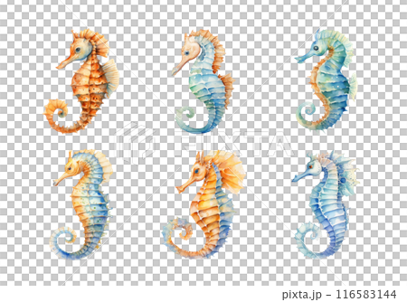 Cute watercolor painting style illustration of Sea Horse, isolated on white background 116583144