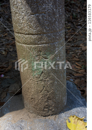 松江藩主　松平家の墓所　不昧公　月照時　 116583179