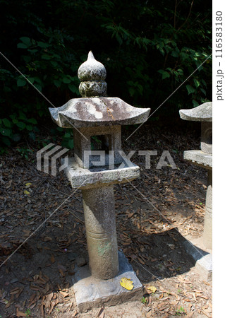 松江藩主　松平家の墓所　不昧公　月照時　 116583180