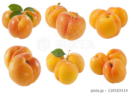 Realistic photo illustration of Apricot, isolated on transparent background 116583314