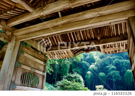 松江藩主 松平家の墓所 不昧公 月照時 松江藩主 松平家の墓所 不昧公 月照時 116583326