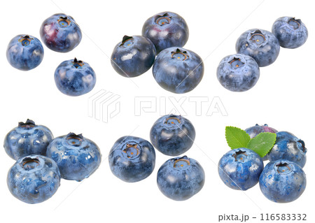 Blueberry, fruit realistic Illustration. Realistic PNG file. Mockup template for artwork graphic design 116583332