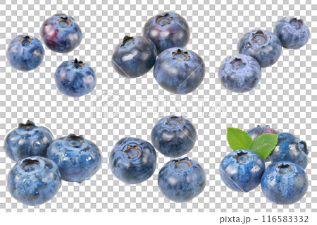 Blueberry, fruit realistic Illustration. Realistic PNG file. Mockup template for artwork graphic design 116583332