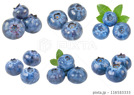 Realistic photo illustration of Blueberry, isolated on transparent background 116583333