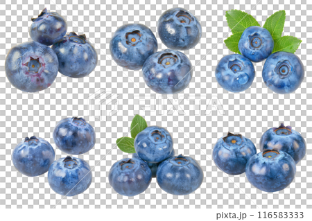Realistic photo illustration of Blueberry, isolated on transparent background 116583333