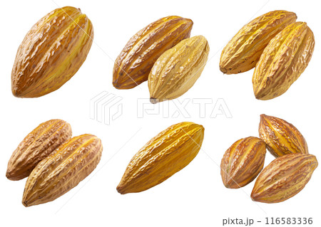 Cacao, fruit realistic Illustration. Realistic PNG file. Mockup template for artwork graphic design 116583336