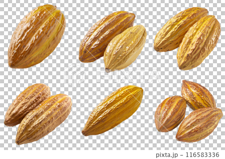 Cacao, fruit realistic Illustration. Realistic PNG file. Mockup template for artwork graphic design 116583336