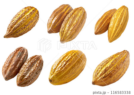 Realistic photo illustration of Cacao, isolated on transparent background Realistic photo illustration of Cacao, isolated on transparent background 116583338