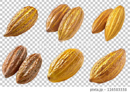 Realistic photo illustration of Cacao, isolated on transparent background Realistic photo illustration of Cacao, isolated on transparent background 116583338