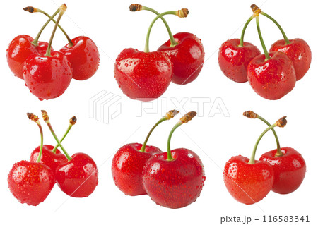 Cherry, fruit realistic Illustration. Realistic PNG file. Mockup template for artwork graphic design Cherry, fruit realistic Illustration. Realistic PNG file. Mockup template for artwork graphic design 116583341