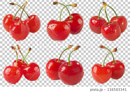 Cherry, fruit realistic Illustration. Realistic PNG file. Mockup template for artwork graphic design Cherry, fruit realistic Illustration. Realistic PNG file. Mockup template for artwork graphic design 116583341