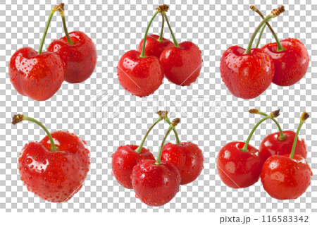 Realistic photo illustration of Cherry, isolated on transparent background Realistic photo illustration of Cherry, isolated on transparent background 116583342