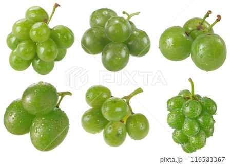 Green Grape, fruit realistic Illustration. Realistic PNG file. Mockup template for artwork graphic design Green Grape, fruit realistic Illustration. Realistic PNG file. Mockup template for artwork graphic design 116583367