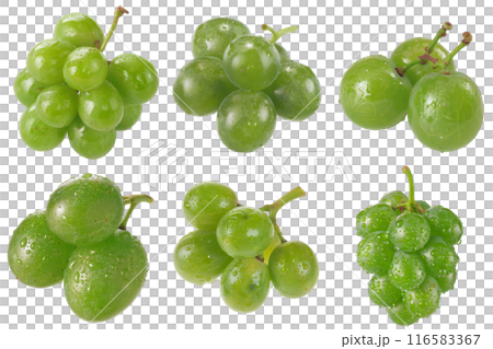 Green Grape, fruit realistic Illustration. Realistic PNG file. Mockup template for artwork graphic design Green Grape, fruit realistic Illustration. Realistic PNG file. Mockup template for artwork graphic design 116583367