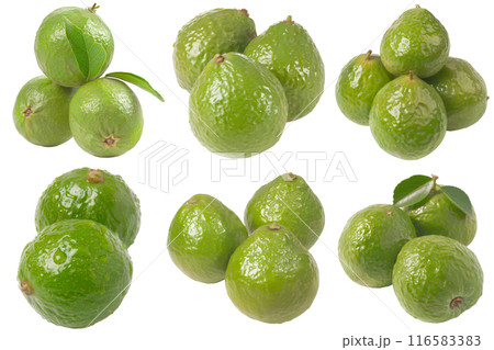 Guava, fruit realistic Illustration. Realistic PNG file. Mockup template for artwork graphic design 116583383