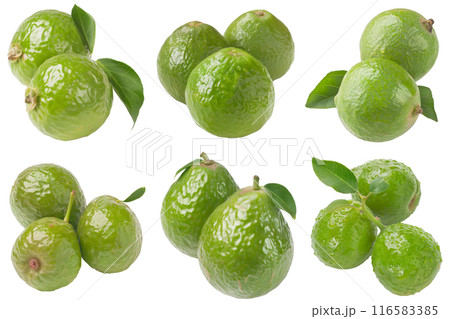 Realistic photo illustration of Guava, isolated on transparent background 116583385