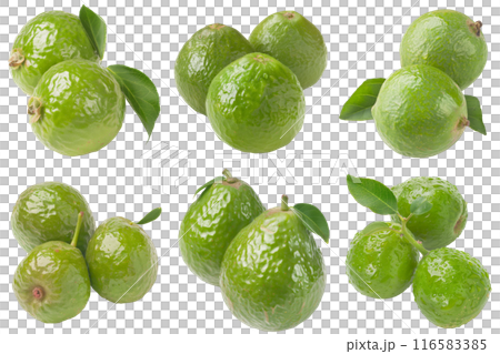 Realistic photo illustration of Guava, isolated on transparent background 116583385