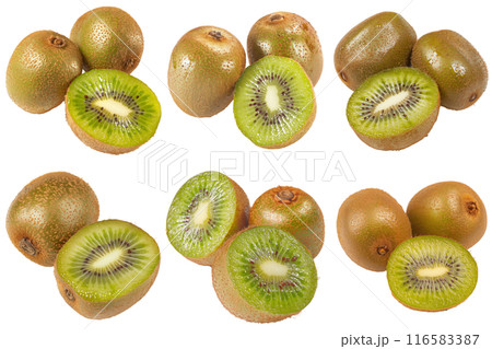 Kiwi, fruit realistic Illustration. Realistic PNG file. Mockup template for artwork graphic design 116583387