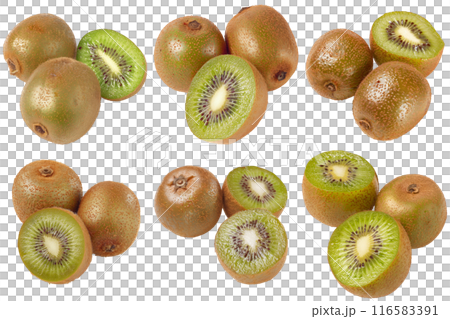 Kiwi, fruit realistic Illustration. Realistic PNG file. Mockup template for artwork graphic design 116583391