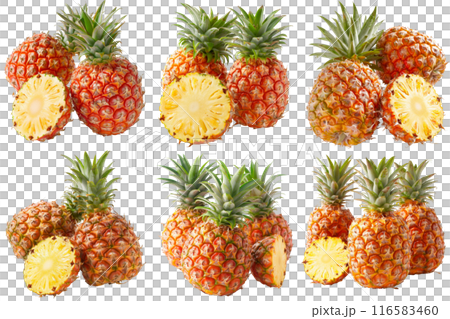 Pineapple, fruit realistic Illustration. Realistic PNG file. Mockup template for artwork graphic design 116583460