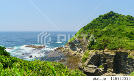 【千葉県勝浦市】鵜原理想郷・断崖絶壁の風景 116583550