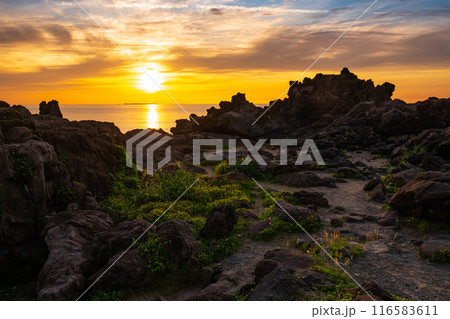 十六羅漢岩・夕景 116583611