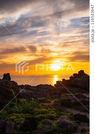 十六羅漢岩・夕景 116583647