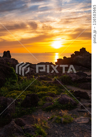 十六羅漢岩・夕景 十六羅漢岩・夕景 116583665