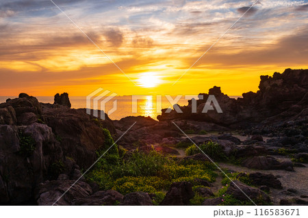 十六羅漢岩・夕景 116583671