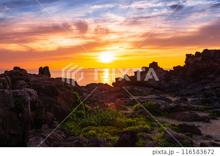 十六羅漢岩・夕景 116583672