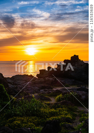 十六羅漢岩・夕景 116583689