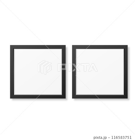 Two vector picture frames, black and white, isolated, simple design 116583751