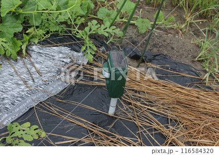 動物超音波撃退機 116584320