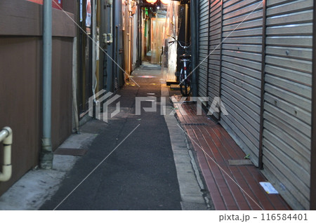 ハモニカ横丁の「のれん小路」（JR吉祥寺駅 北口／東京都武蔵野市） 116584401